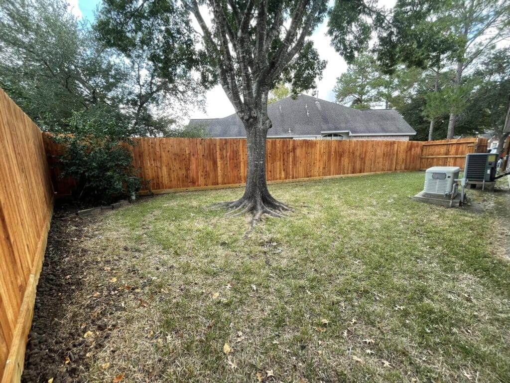 Tree Staining Wood Staining - 5J Fence & Exteriors